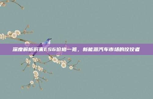 深度解析蔚来ES6价格一览，新能源汽车市场的佼佼者