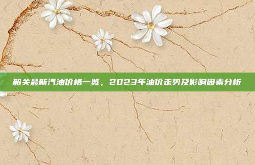 韶关最新汽油价格一览，2023年油价走势及影响因素分析