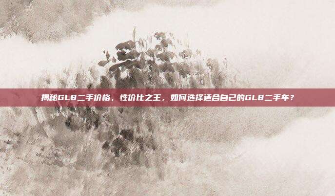 揭秘GL8二手价格，性价比之王，如何选择适合自己的GL8二手车？