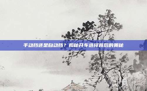 手动挡还是自动挡？揭秘开车选择背后的奥秘