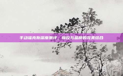 手动福克斯深度测评，操控与品质的完美结合