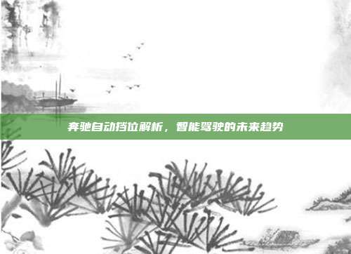 奔驰自动挡位解析，智能驾驶的未来趋势