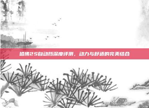 哈佛2S自动挡深度评测，动力与舒适的完美结合