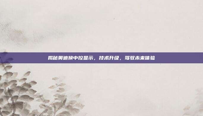 揭秘奥迪换中控显示，技术升级，驾驭未来体验