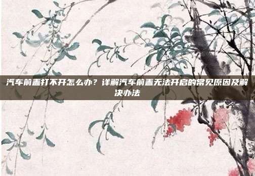 汽车前盖打不开怎么办？详解汽车前盖无法开启的常见原因及解决办法