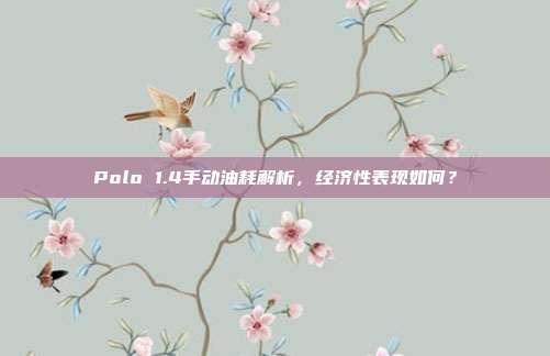 Polo 1.4手动油耗解析，经济性表现如何？