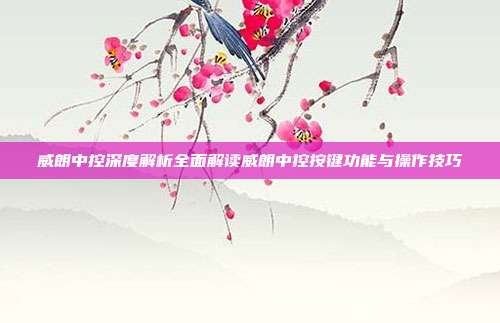 威朗中控深度解析全面解读威朗中控按键功能与操作技巧