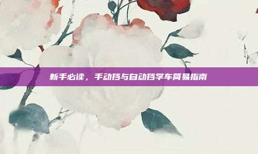 新手必读，手动挡与自动挡学车简易指南