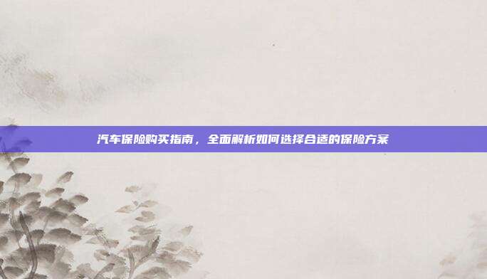 汽车保险购买指南，全面解析如何选择合适的保险方案