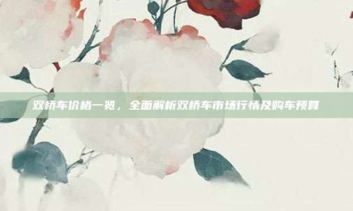 双桥车价格一览，全面解析双桥车市场行情及购车预算