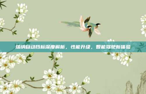 瑞纳自动挡标深度解析，性能升级，智能驾驶新体验
