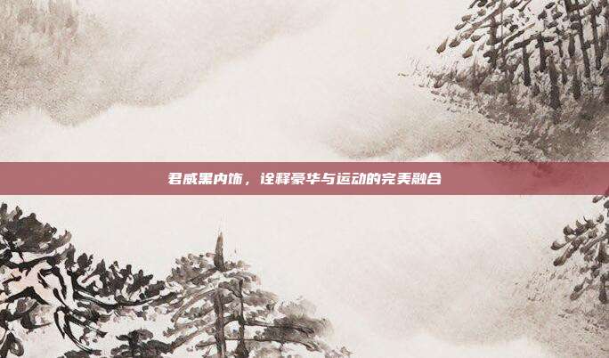 君威黑内饰，诠释豪华与运动的完美融合