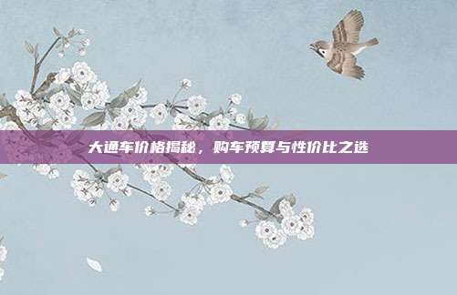 大通车价格揭秘，购车预算与性价比之选