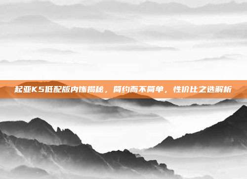 起亚K5低配版内饰揭秘，简约而不简单，性价比之选解析