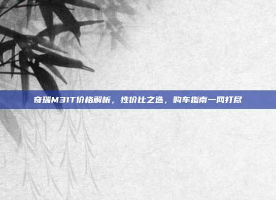 奇瑞M31T价格解析，性价比之选，购车指南一网打尽