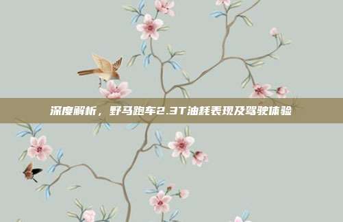 深度解析，野马跑车2.3T油耗表现及驾驶体验