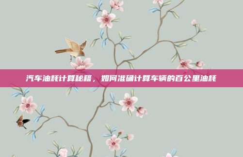 汽车油耗计算秘籍，如何准确计算车辆的百公里油耗