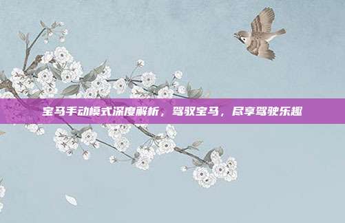 宝马手动模式深度解析，驾驭宝马，尽享驾驶乐趣