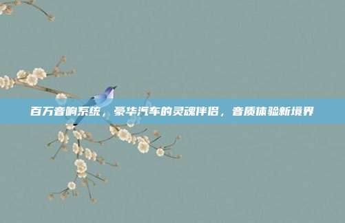 百万音响系统，豪华汽车的灵魂伴侣，音质体验新境界