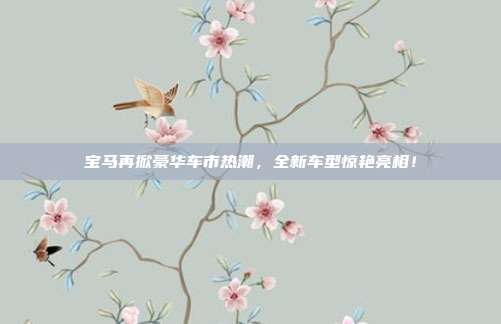 宝马再掀豪华车市热潮，全新车型惊艳亮相！