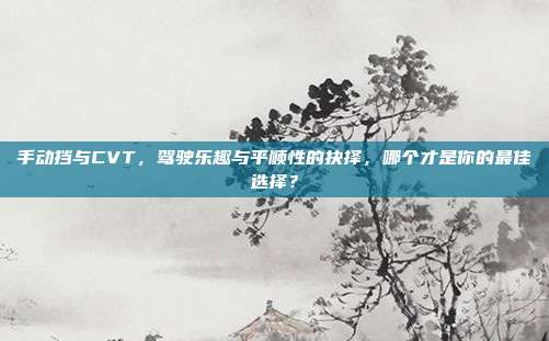 手动挡与CVT，驾驶乐趣与平顺性的抉择，哪个才是你的最佳选择？