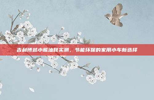 吉利博越小熊油耗实测，节能环保的家用小车新选择