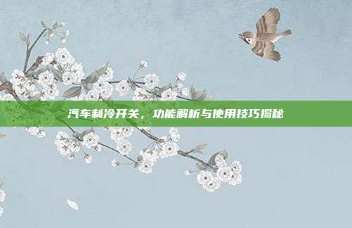 汽车制冷开关，功能解析与使用技巧揭秘
