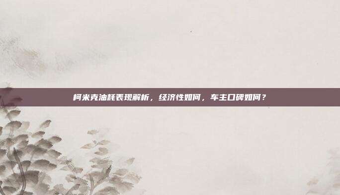柯米克油耗表现解析，经济性如何，车主口碑如何？