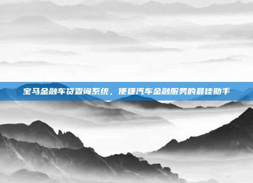宝马金融车贷查询系统，便捷汽车金融服务的最佳助手