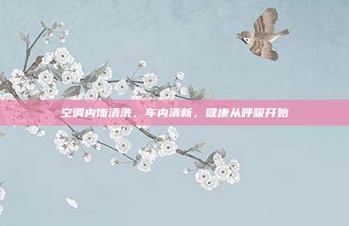 空调内饰清洗，车内清新，健康从呼吸开始