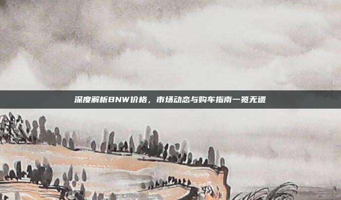 深度解析BNW价格，市场动态与购车指南一览无遗