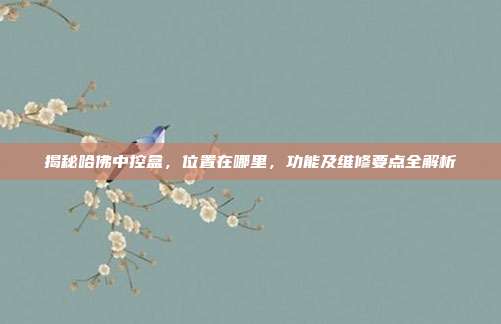 揭秘哈佛中控盒，位置在哪里，功能及维修要点全解析
