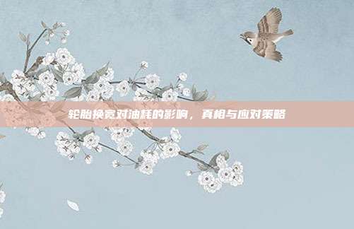轮胎换宽对油耗的影响，真相与应对策略