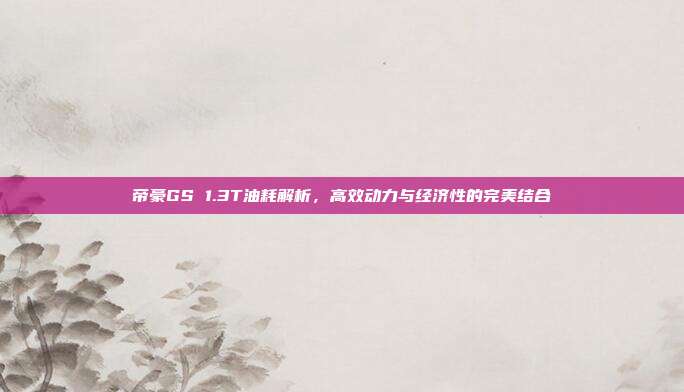 帝豪GS 1.3T油耗解析，高效动力与经济性的完美结合
