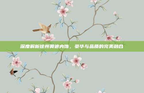 深度解析徐州奥迪内饰，豪华与品质的完美融合
