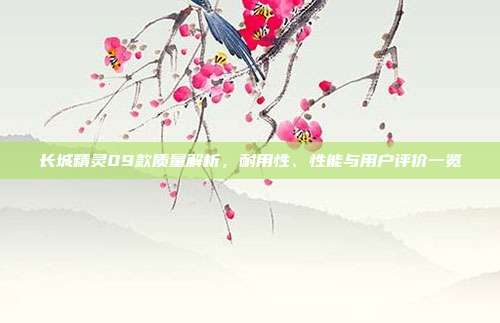长城精灵09款质量解析，耐用性、性能与用户评价一览