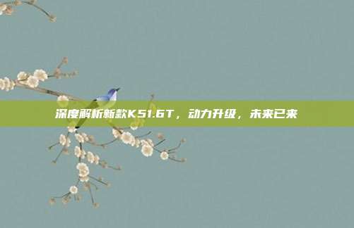 深度解析新款K51.6T，动力升级，未来已来