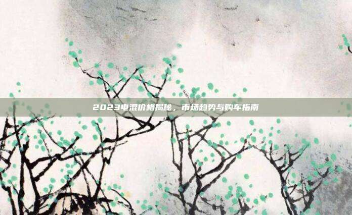 2023电混价格揭秘，市场趋势与购车指南
