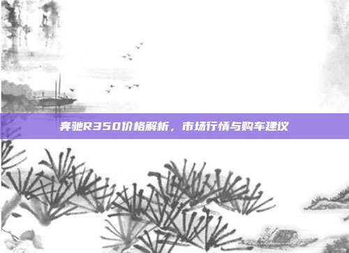奔驰R350价格解析，市场行情与购车建议