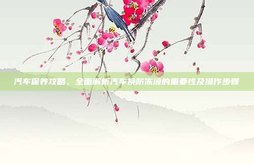 汽车保养攻略，全面解析汽车换防冻液的重要性及操作步骤
