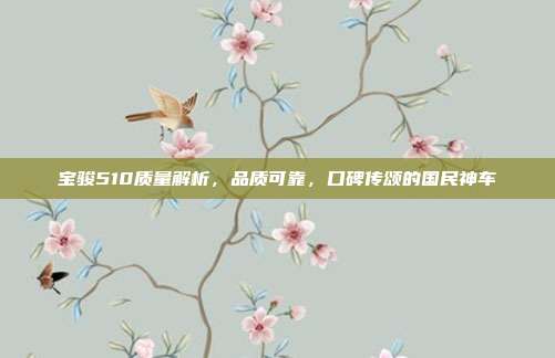 宝骏510质量解析，品质可靠，口碑传颂的国民神车