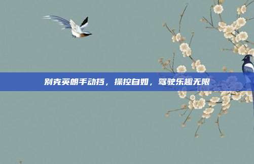 别克英朗手动挡，操控自如，驾驶乐趣无限