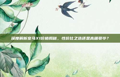 深度解析室马X1价格揭秘，性价比之选还是高端豪华？