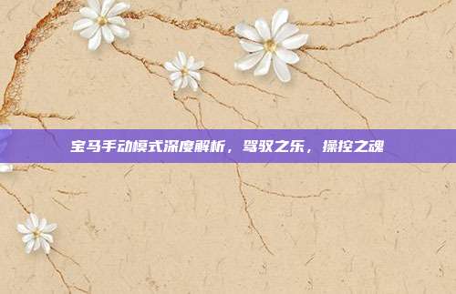 宝马手动模式深度解析，驾驭之乐，操控之魂