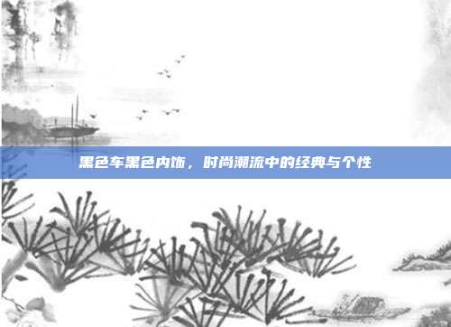 黑色车黑色内饰，时尚潮流中的经典与个性