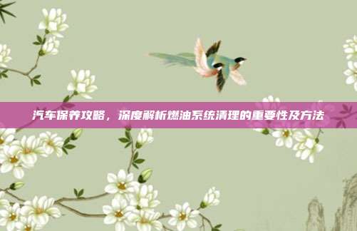 汽车保养攻略，深度解析燃油系统清理的重要性及方法