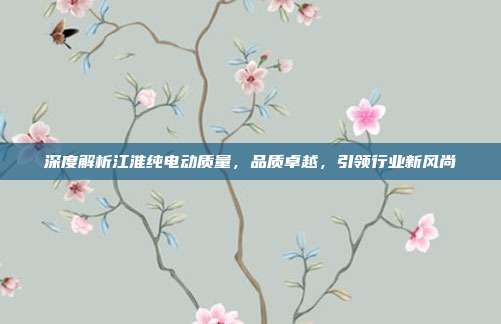 深度解析江淮纯电动质量，品质卓越，引领行业新风尚