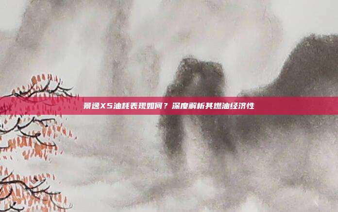 景逸X5油耗表现如何？深度解析其燃油经济性