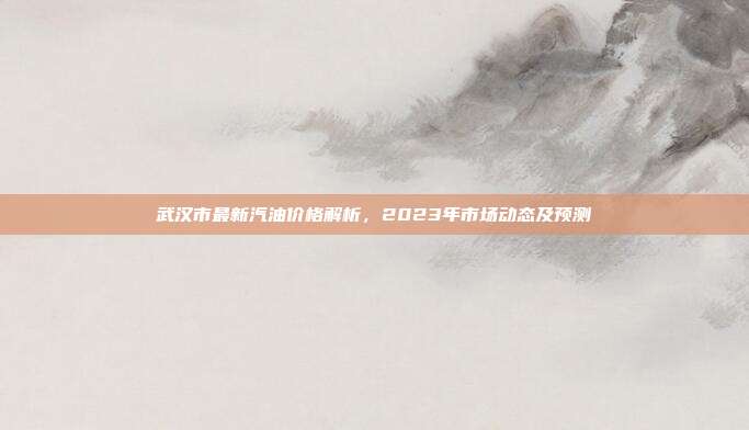 武汉市最新汽油价格解析，2023年市场动态及预测