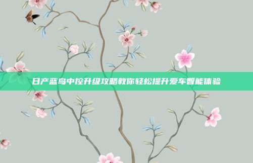 日产蓝鸟中控升级攻略教你轻松提升爱车智能体验